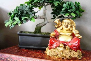 The happiness and well-being in the home feng shui