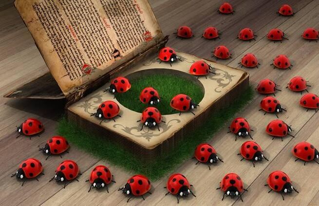 Ladybug a symbol of divine help, protection. 