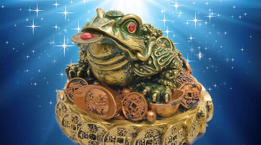 Three -headed toad
