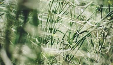 How to make a good luck charm with your own hands.