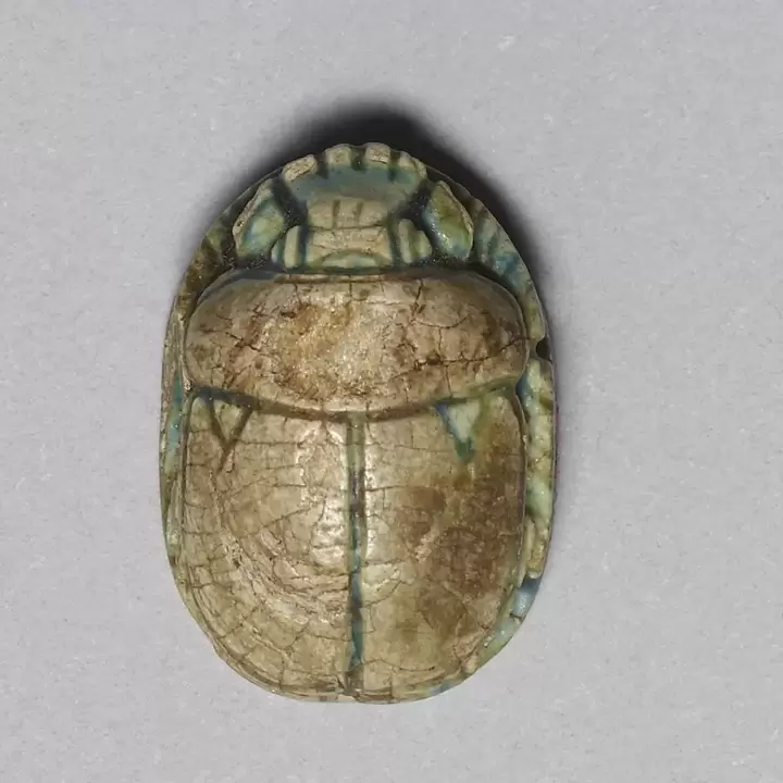 good luck charm - beetle