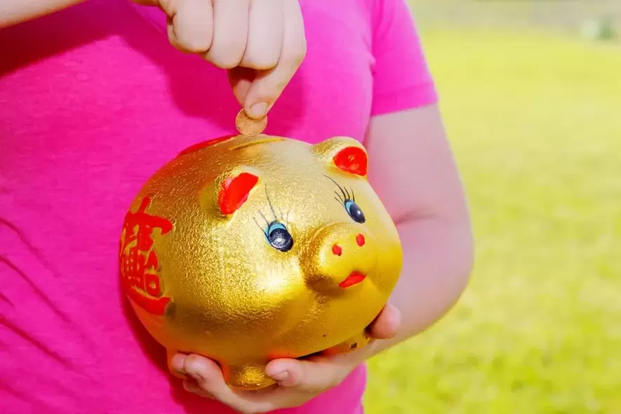 good luck charm - pig