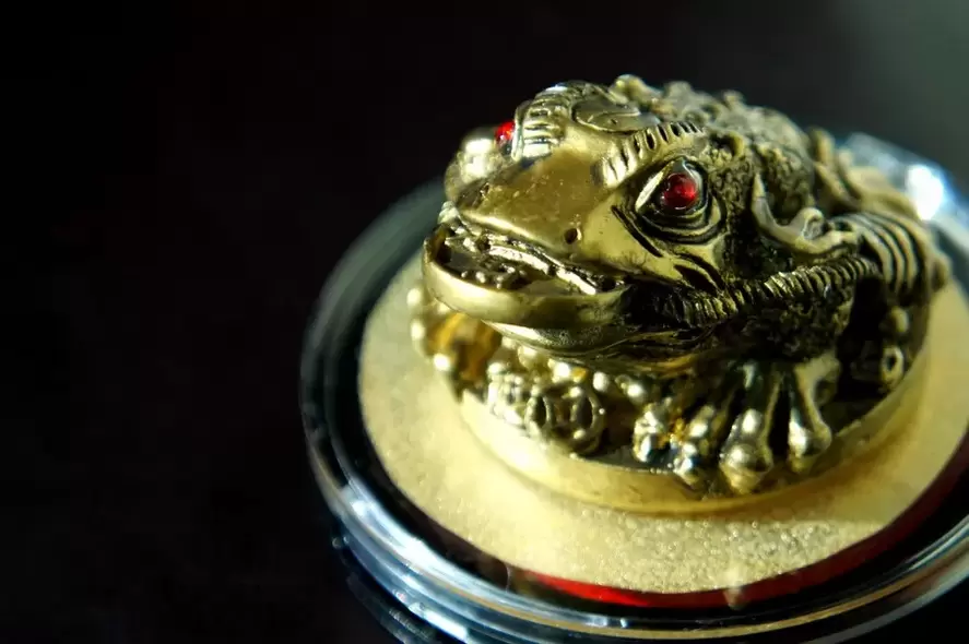 good luck charm - three-legged toad