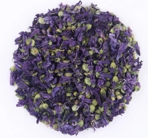 Drying of the flowers of violet.